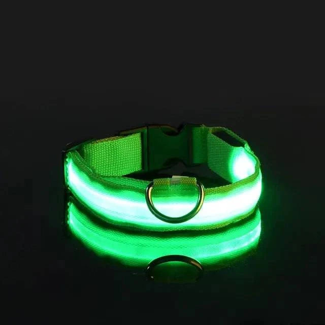 Collier Lumineux LED pour Chien - Édition Rechargeable USB - UNIVERS ANIMALS