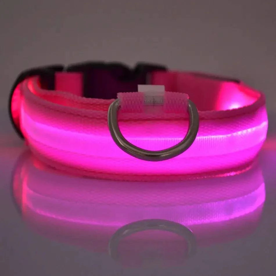 Collier Lumineux LED pour Chien - Édition Rechargeable USB - UNIVERS ANIMALS