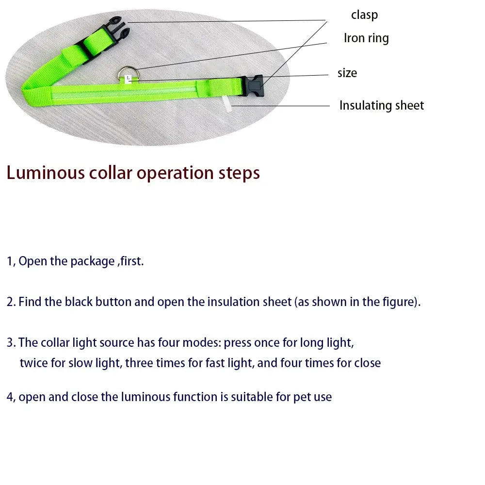 Collier Lumineux LED pour Chien - Édition Rechargeable USB - UNIVERS ANIMALS