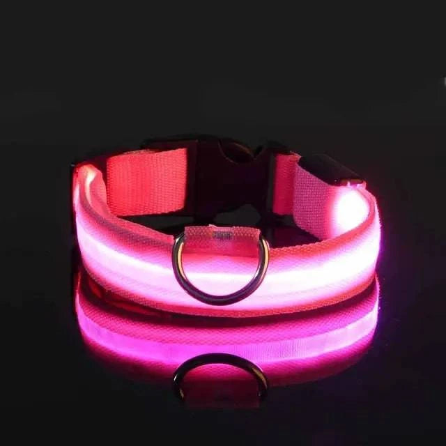 Collier Lumineux LED pour Chien - Édition Rechargeable USB - UNIVERS ANIMALS