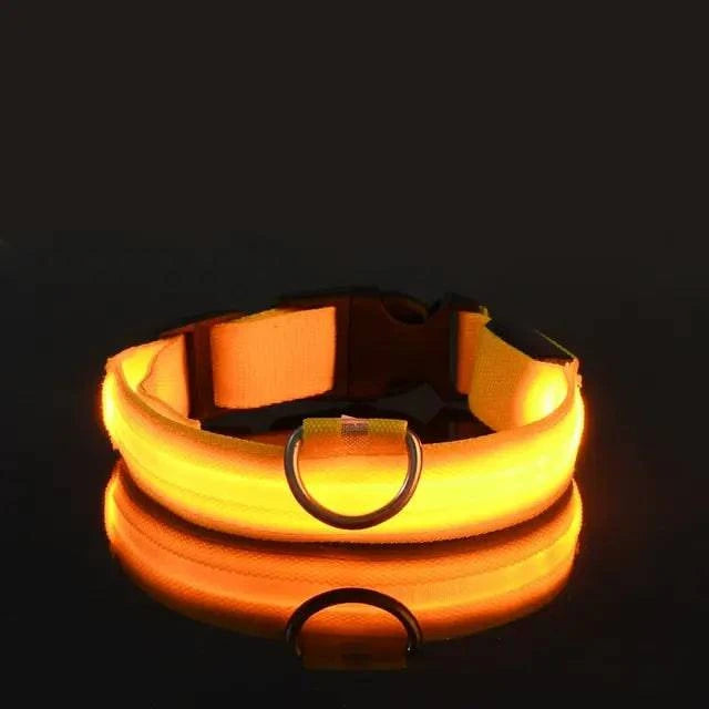Collier Lumineux LED pour Chien - Édition Rechargeable USB - UNIVERS ANIMALS