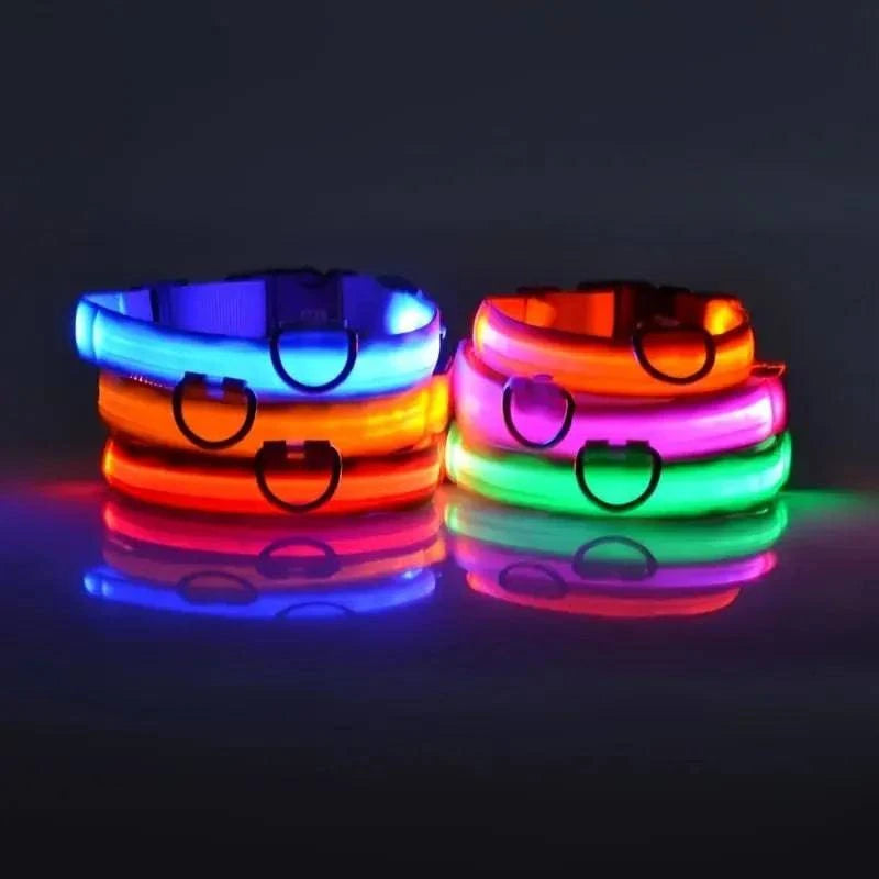 Collier Lumineux LED pour Chien - Édition Rechargeable USB - UNIVERS ANIMALS