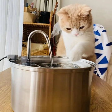 Fontaine d'Eau Chat - UNIVERS ANIMALS