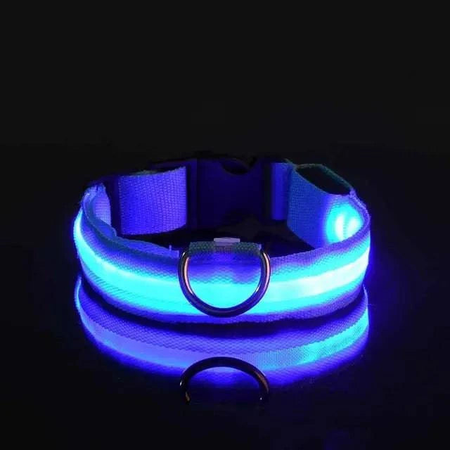 Collier Lumineux LED pour Chien - Édition Rechargeable USB - UNIVERS ANIMALS