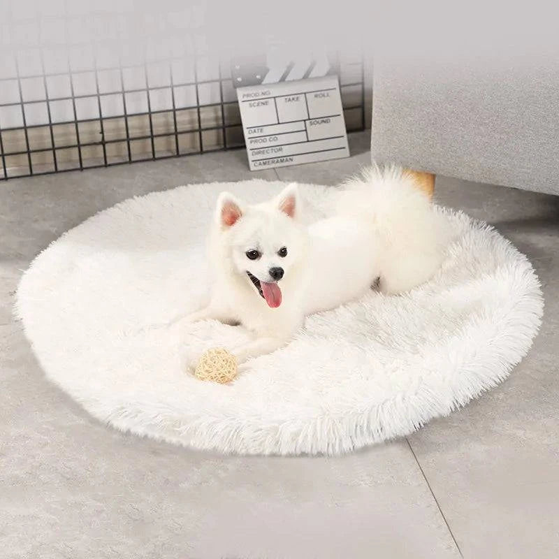 Lit Rond pour Chien - UNIVERS ANIMALS