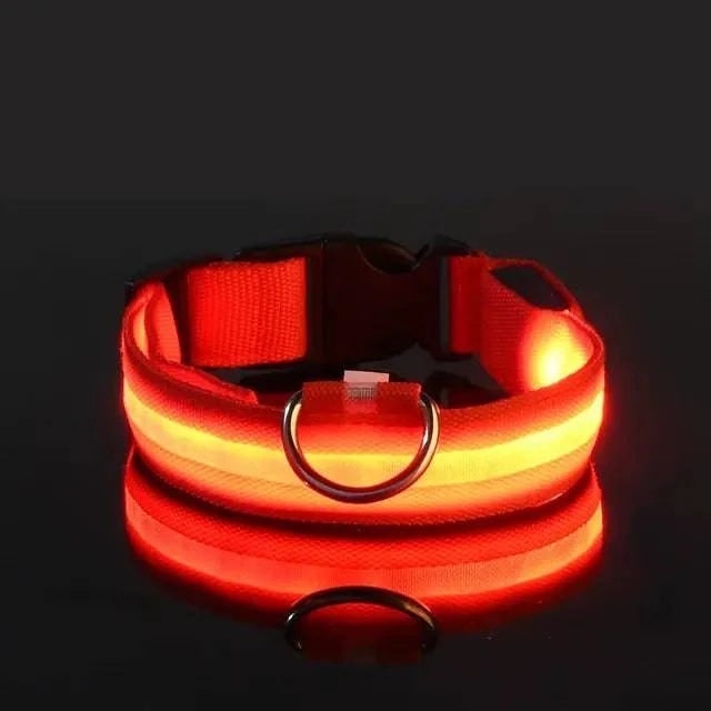 Collier Lumineux LED pour Chien - Édition Rechargeable USB - UNIVERS ANIMALS