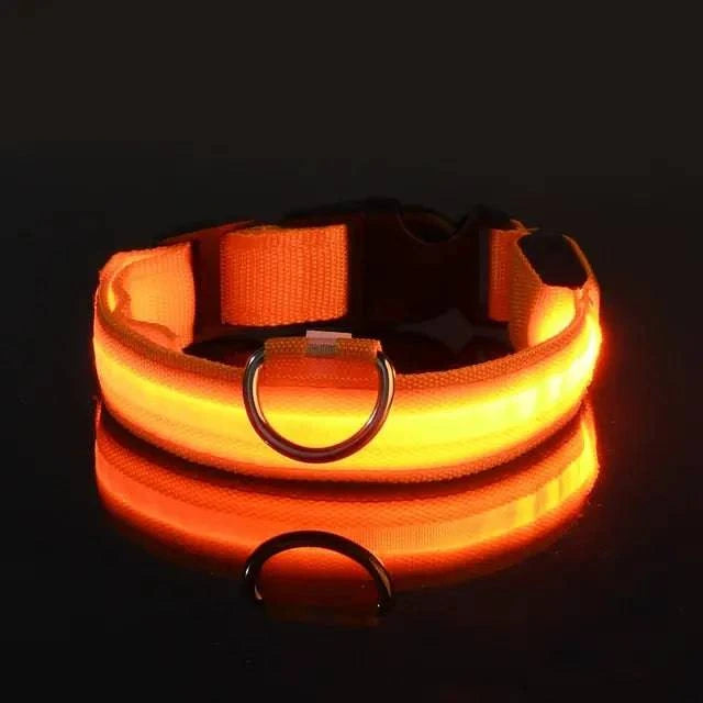 Collier Lumineux LED pour Chien - Édition Rechargeable USB - UNIVERS ANIMALS