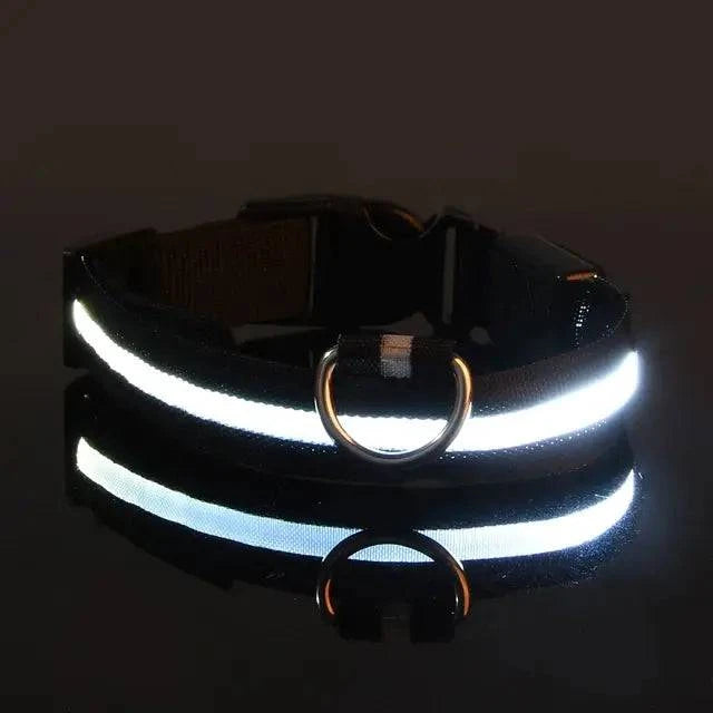 Collier Lumineux LED pour Chien - Édition Rechargeable USB - UNIVERS ANIMALS