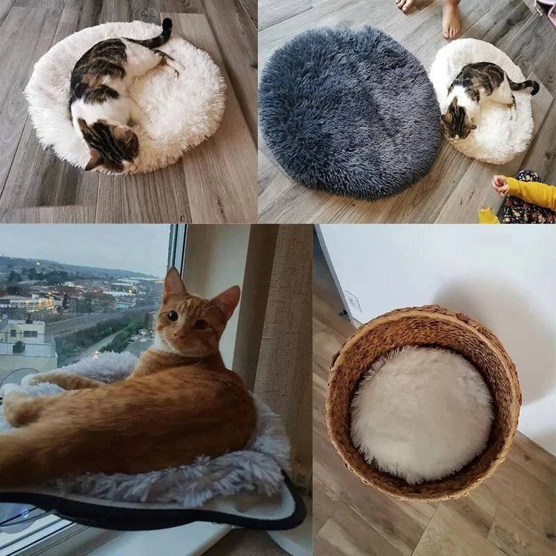 Lit Rond pour Chien - UNIVERS ANIMALS