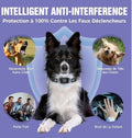 Collier Anti Aboiement chien - UNIVERS ANIMALS