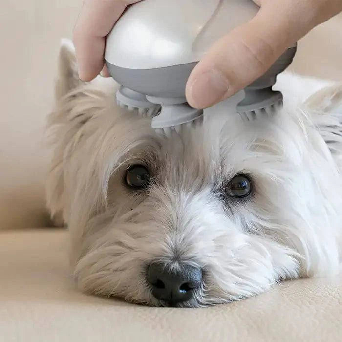 Masseur Électrique pour Animaux de Compagnie - UNIVERS ANIMALS