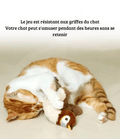 Jouet en Peluche Interactif -chat Lynday - UNIVERS ANIMALS