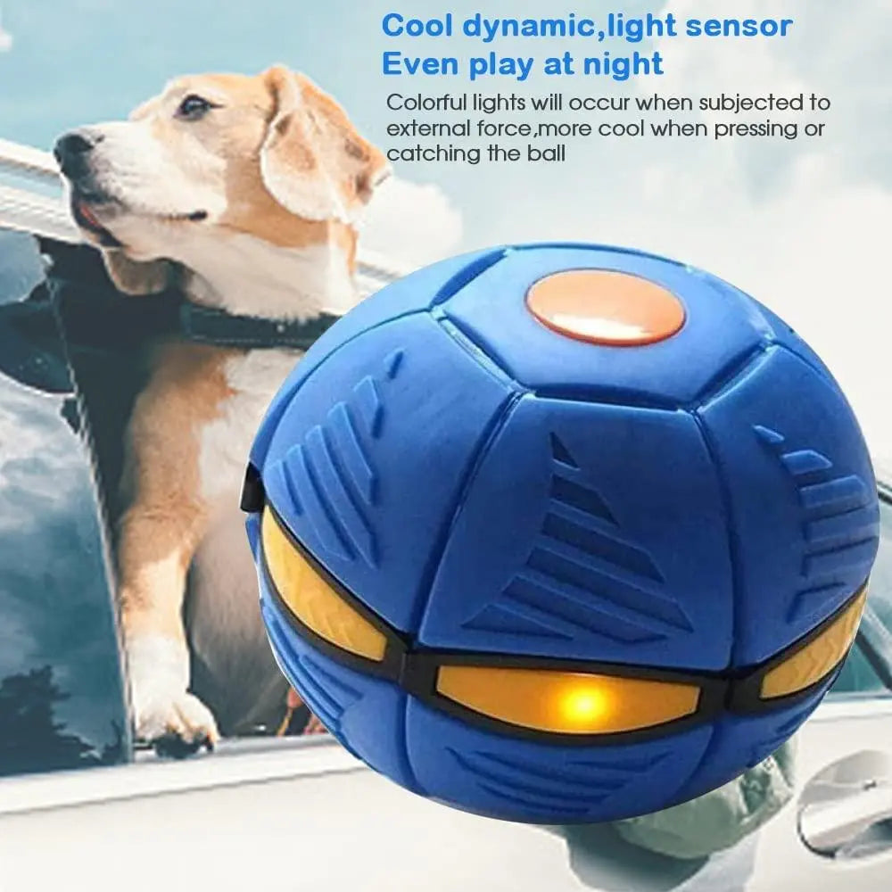 Balle Rebondissante Magique UFO à Déformation pour chien - UNIVERS ANIMALS