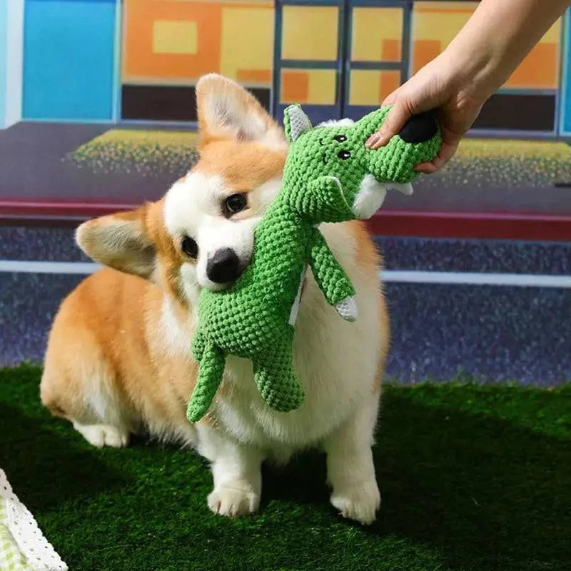 Jouet Interactif Nettoyeur de Dents pour Chiens - UNIVERS ANIMALS