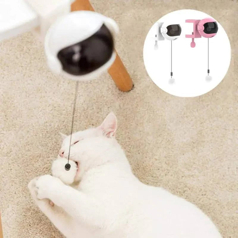 Balle de Jeu Automatique et intelligent pour Chats - UNIVERS ANIMALS
