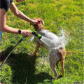 Pet Bath Sprayer Hose - UNIVERS ANIMALS