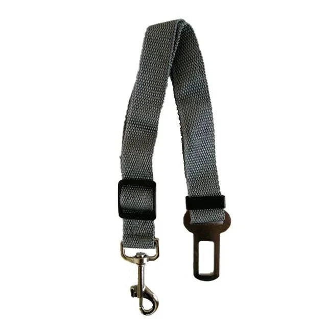 Ceinture de Sécurité pour Voiture pour Chiens et Chats - UNIVERS ANIMALS