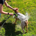 Accessoire de Douche pour Chiens Jet Pup - UNIVERS ANIMALS