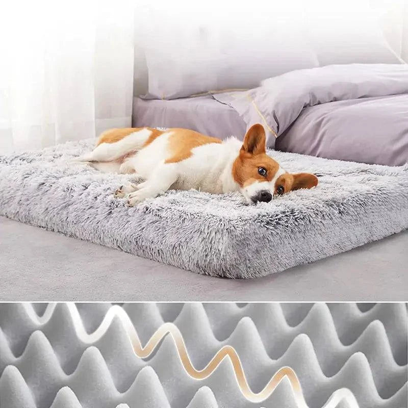 Lit pour chien en peluche lavable - UNIVERS ANIMALS