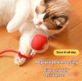 jouer interactif chat - UNIVERS ANIMALS