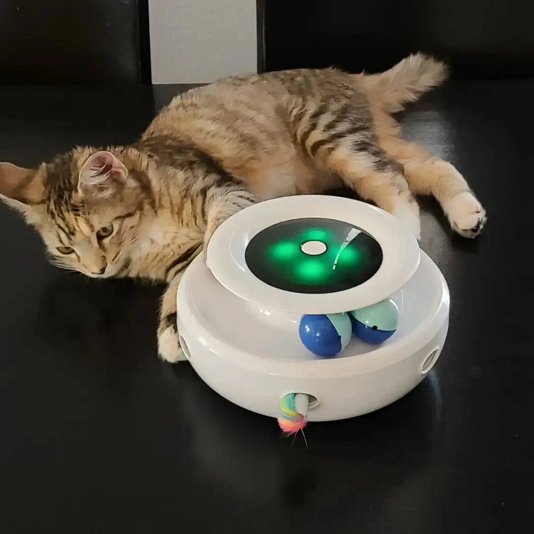 plume rotative, lumières LED Jouet interactif pour chat - UNIVERS ANIMALS