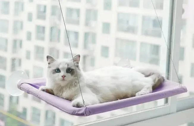 Hamac de Fenêtre pour Chat - UNIVERS ANIMALS