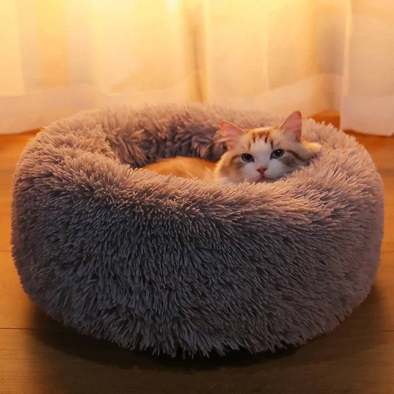 Lit Rond Kimpets pour Animaux de Compagnie - UNIVERS ANIMALS