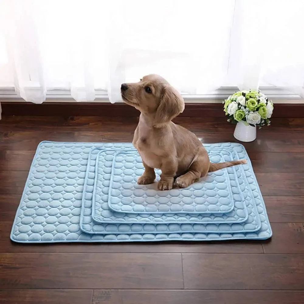 Couverture Rafraîchissante pour chien et chat - UNIVERS ANIMALS