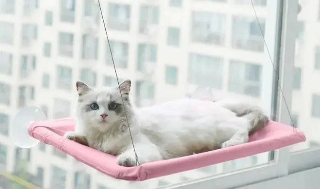 Hamac de Fenêtre pour Chat - UNIVERS ANIMALS