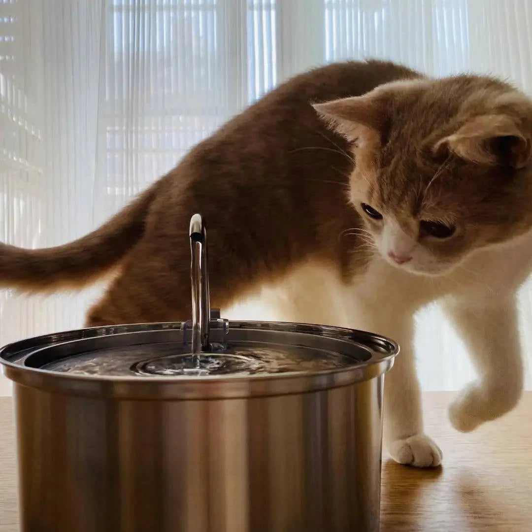 Fontaine d'Eau Chat - UNIVERS ANIMALS