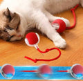 jouer interactif chat - UNIVERS ANIMALS