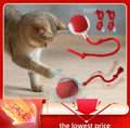 jouer interactif chat - UNIVERS ANIMALS