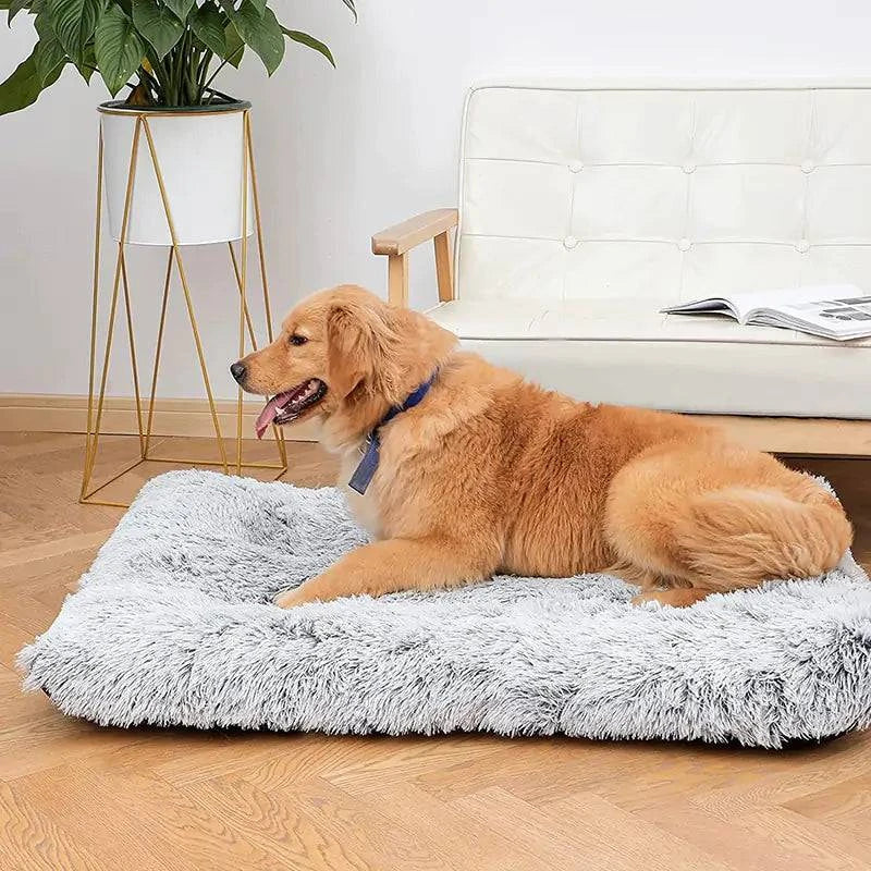 Lit pour chien en peluche lavable - UNIVERS ANIMALS