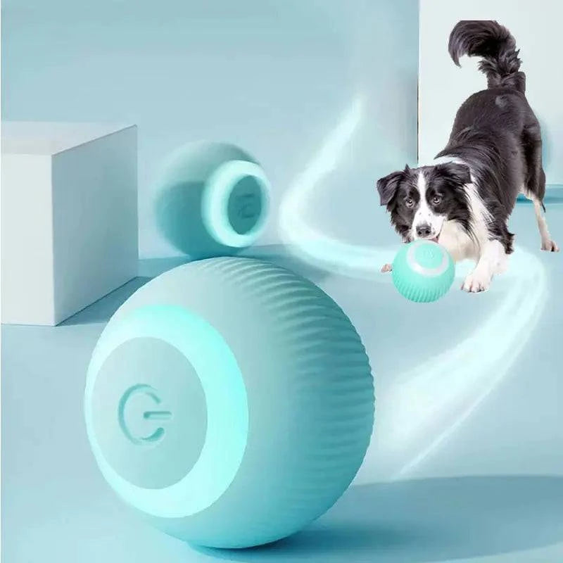 Balle intelligent qui bouge toute seule pour chien et chat - UNIVERS ANIMALS