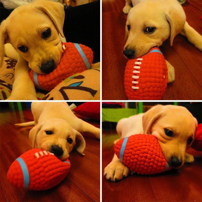 Jouets pour chiens qui couinent - UNIVERS ANIMALS