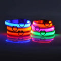 Collier Lumineux LED pour Chien - Édition Rechargeable USB - UNIVERS ANIMALS