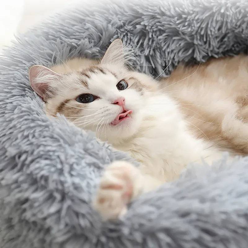 Lit Rond Kimpets pour Animaux de Compagnie - UNIVERS ANIMALS