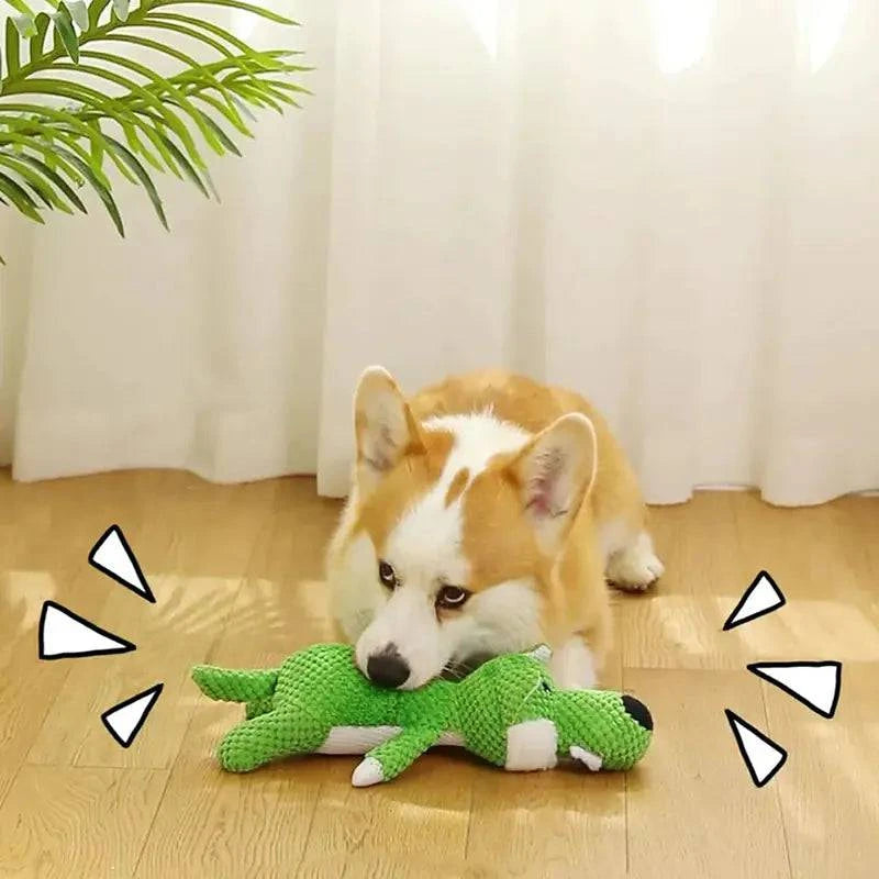 Jouet Interactif Nettoyeur de Dents pour Chiens - UNIVERS ANIMALS