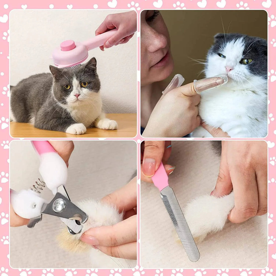 Brosse à Poils chien et chat - UNIVERS ANIMALS