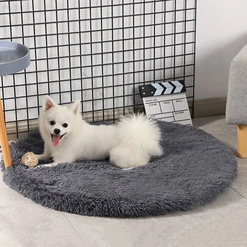 Lit Rond pour Chien - UNIVERS ANIMALS