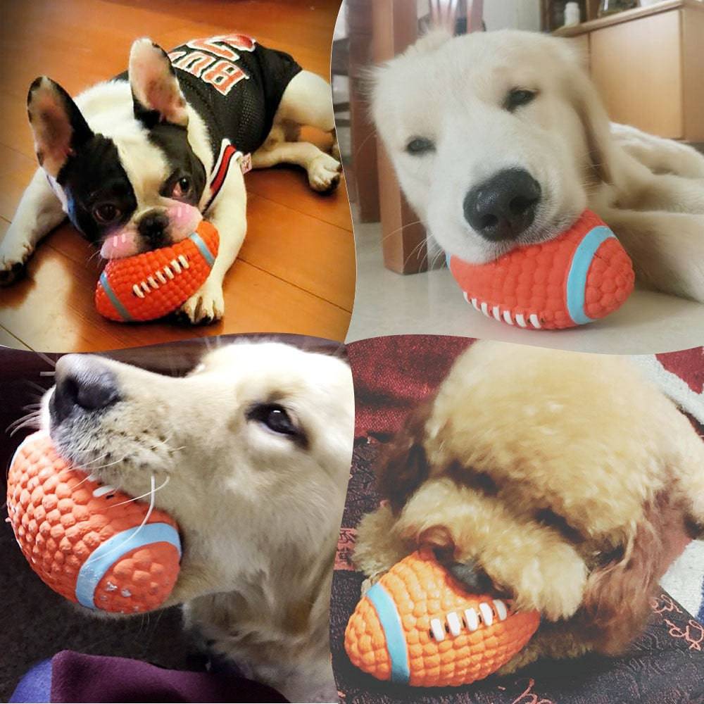 Jouets pour chiens qui couinent - UNIVERS ANIMALS
