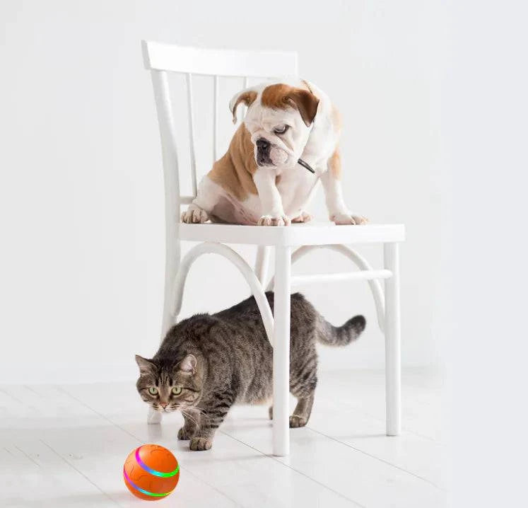 Balle Intelligente Rotative USB pour Chien et chat - Jouet Automatique et Interactif - UNIVERS ANIMALS