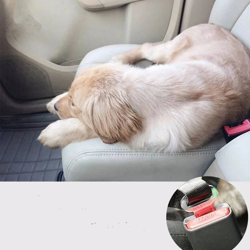 Ceinture de Sécurité pour Voiture pour Chiens et Chats - UNIVERS ANIMALS