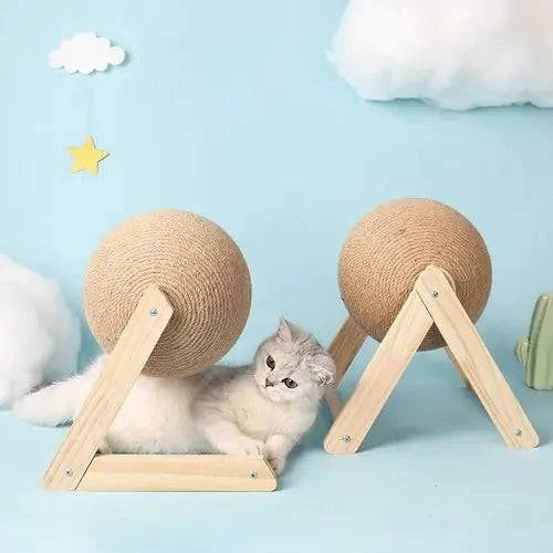 Jouets à mordiller avec corde et planche pour griffer chat - UNIVERS ANIMALS