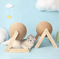 Jouets à mordiller avec corde et planche pour griffer chat - UNIVERS ANIMALS