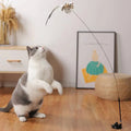 Jouets Oiseaux Interactifs pour Chats - UNIVERS ANIMALS
