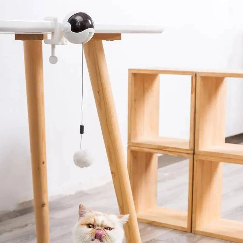 Balle de Jeu Automatique et intelligent pour Chats - UNIVERS ANIMALS