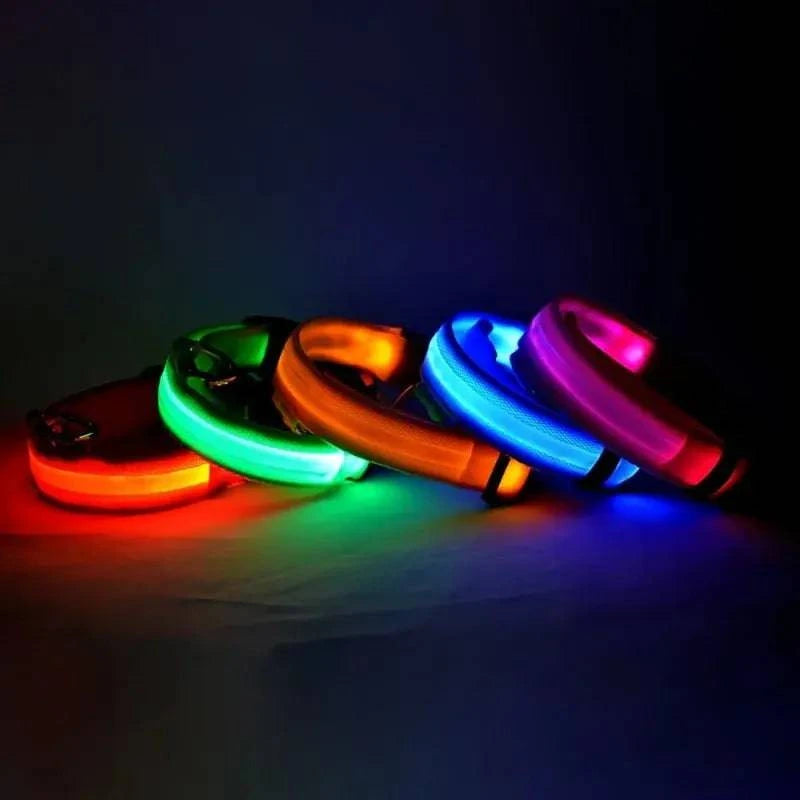 Collier Lumineux LED pour Chien - Édition Rechargeable USB - UNIVERS ANIMALS