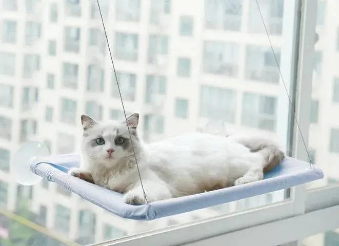 Hamac de Fenêtre pour Chat - UNIVERS ANIMALS