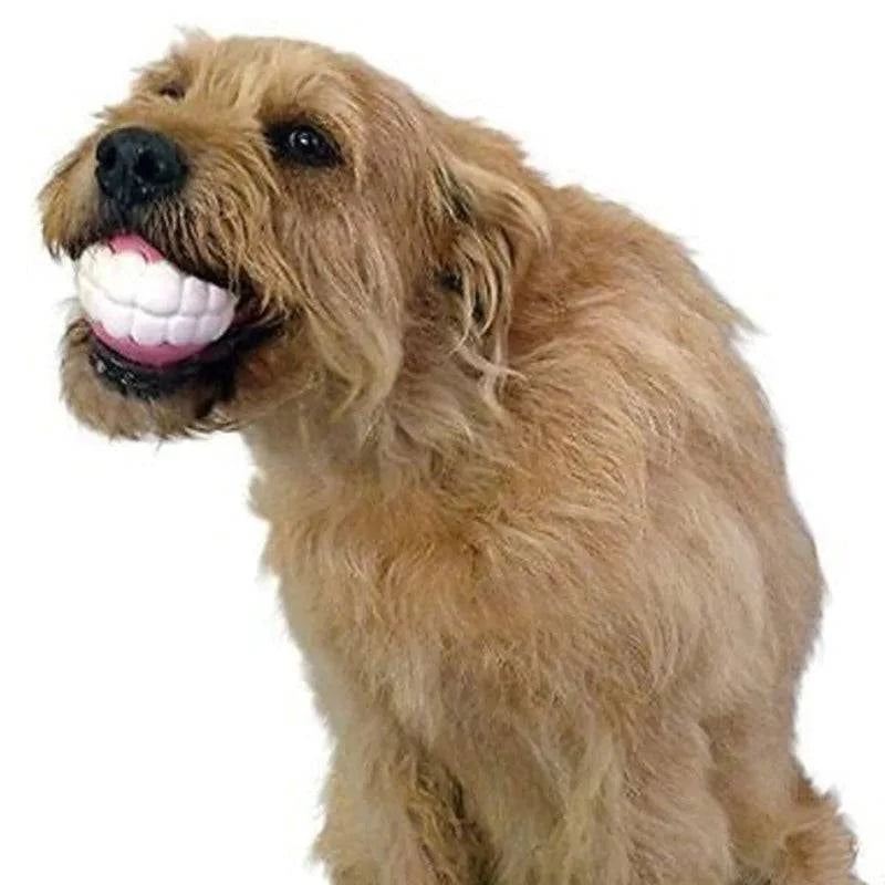 Jouet à mâcher en SIlicone en forme de balle pour dents - UNIVERS ANIMALS